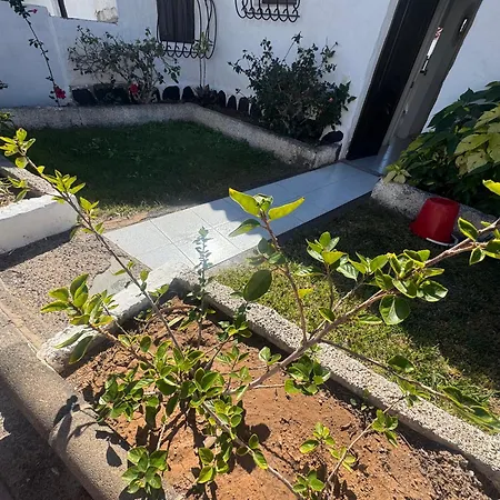 Santafe Garden 40